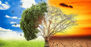 Read more about the article Understanding Climate Change: Causes, Impacts, and Solutions